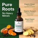 leefy-organics-prana-the-original-organi-4.jpg