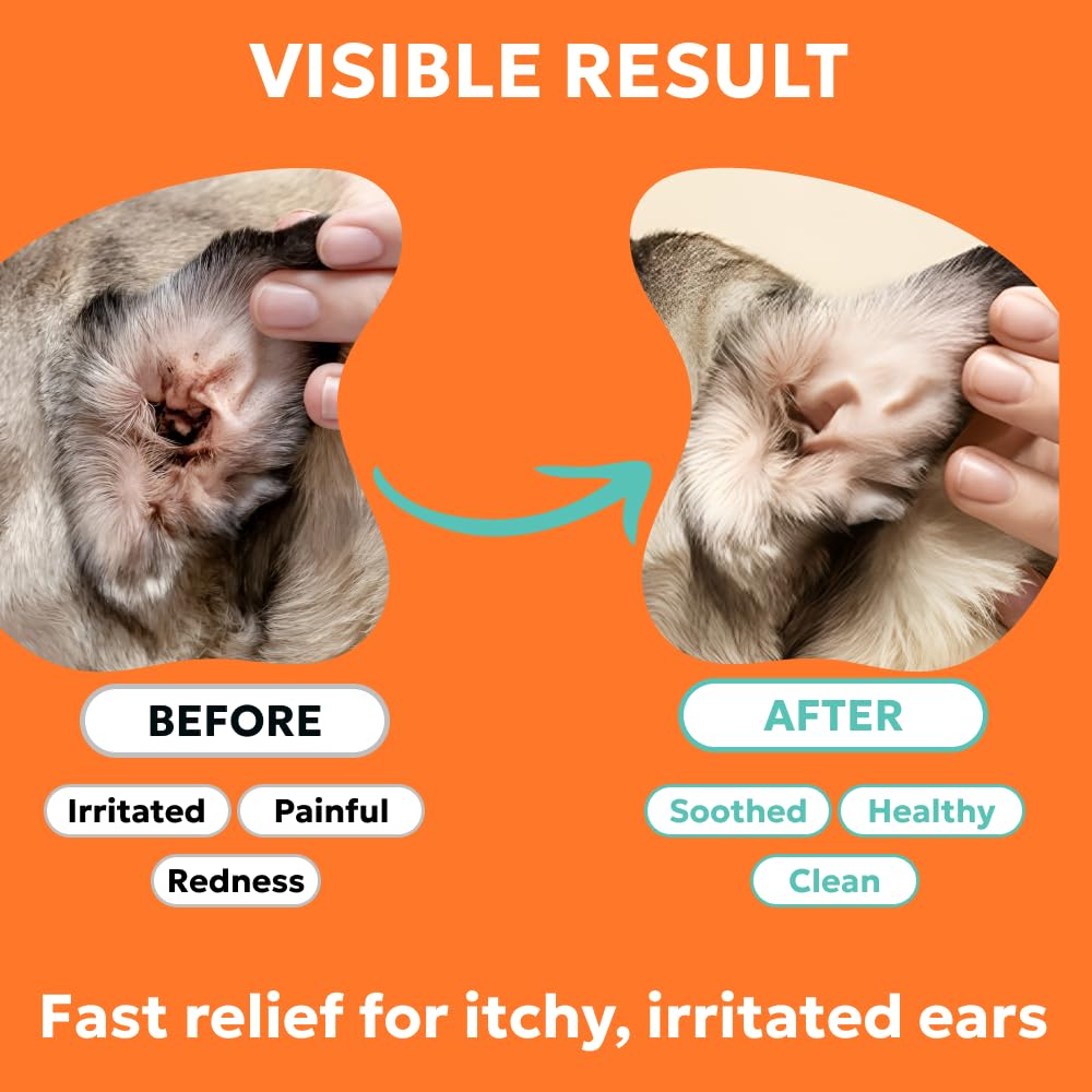 forticept-dog-and-cat-ear-infection-trea-4.jpg