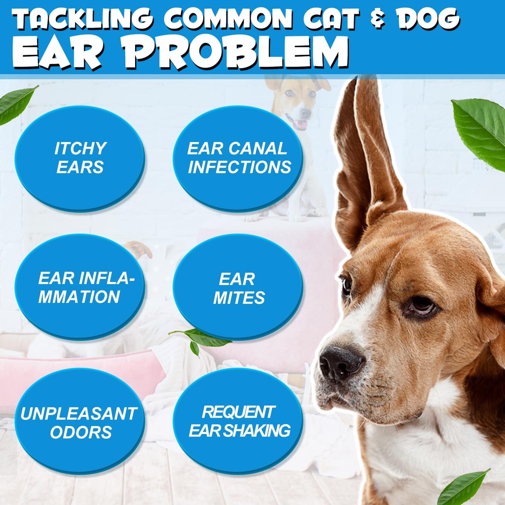 vosifsdiy-dog-cat-ear-infection-treatmen-3.jpg