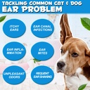 vosifsdiy-dog-cat-ear-infection-treatmen-3.jpg