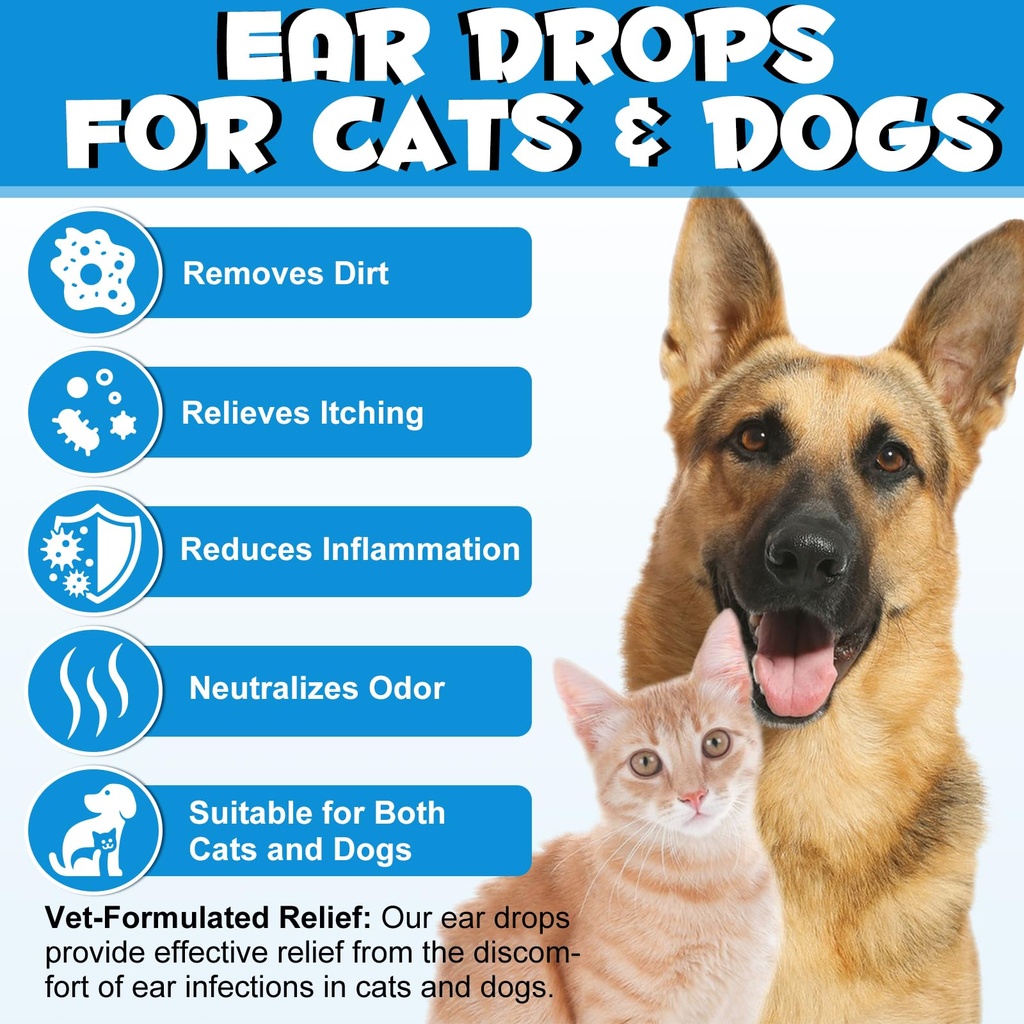 vosifsdiy-dog-cat-ear-infection-treatmen-6.jpg