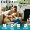 vicsom-dog-ear-infection-treatment-drops-3.jpg