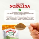 nopalina-fiber-formula-pineapple-2-lb-ba-5.jpg