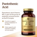 solgar-pantothenic-acid-550-mg-vegetable-3.jpg