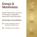 solgar-pantothenic-acid-550-mg-vegetable-5.jpg