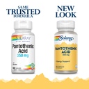solaray-pantothenic-acid-250mg-vitamin-b-2.jpg