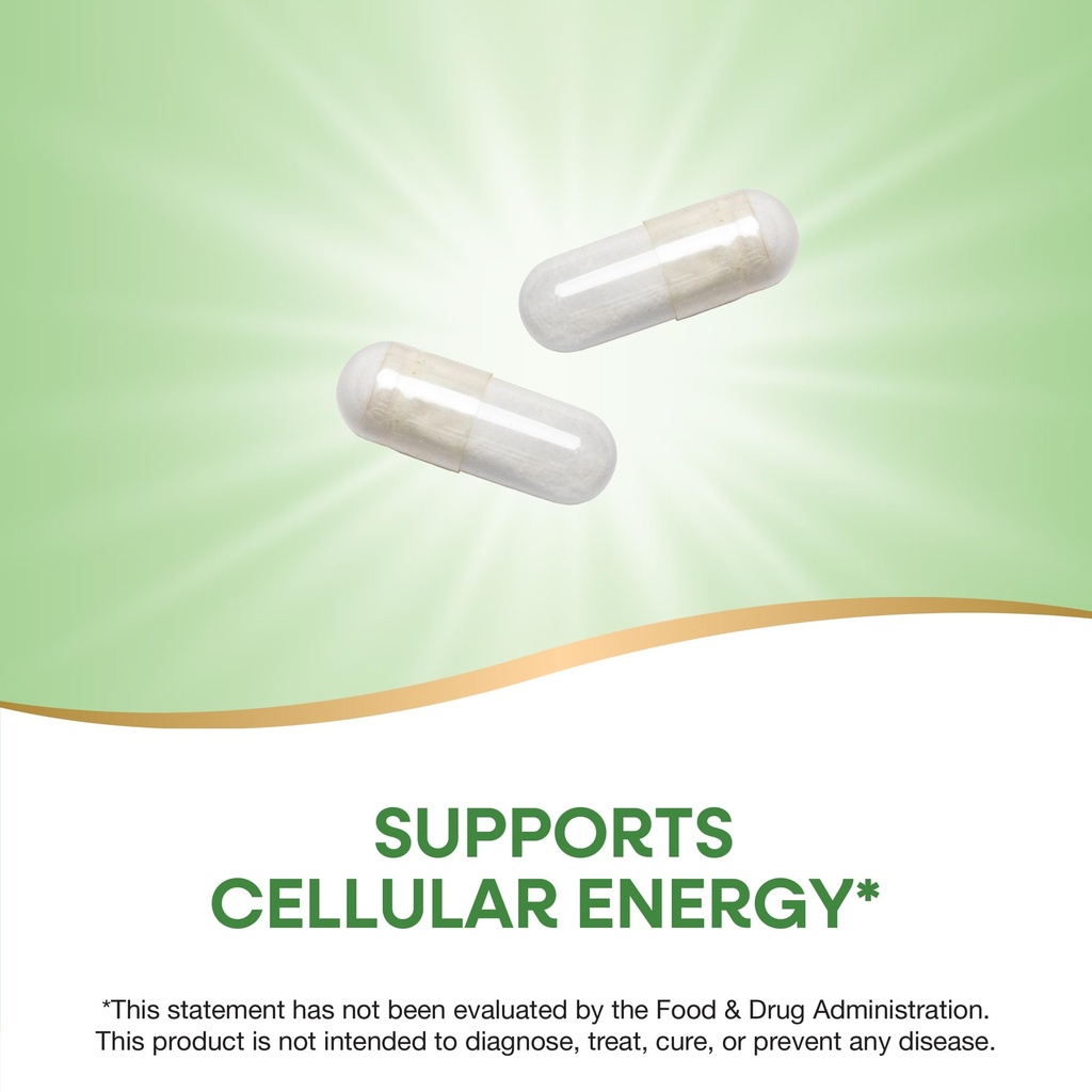 nature-s-way-pantothenic-acid-supports-c-3.jpg