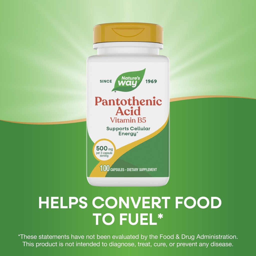 nature-s-way-pantothenic-acid-supports-c-4.jpg