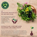 live-plant-pea-protein-vanilla-powder-4.jpg