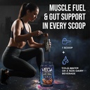 vega-protein-recovery-mocha-30g-vegan-pr-6.jpg