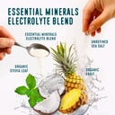 flavcity-pineapple-coconut-electrolytes--3.jpg