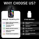 fertility-supplements-for-men-zinc-maca--6.jpg