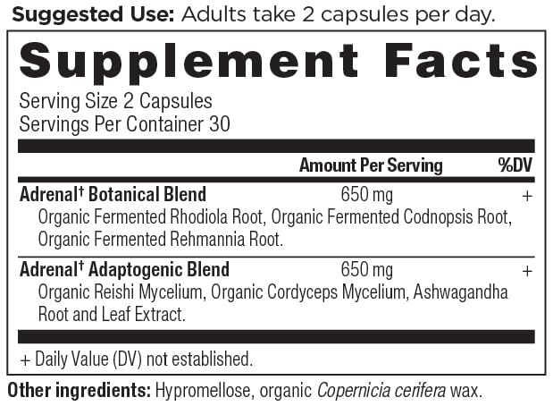 ancient-nutrition-adrenal-support-with-a-3.jpg
