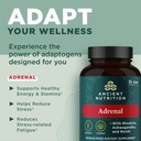 ancient-nutrition-adrenal-support-with-a-4.jpg