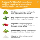 lifeseasons-adrenal-t-adrenal-fatigue-su-4.jpg