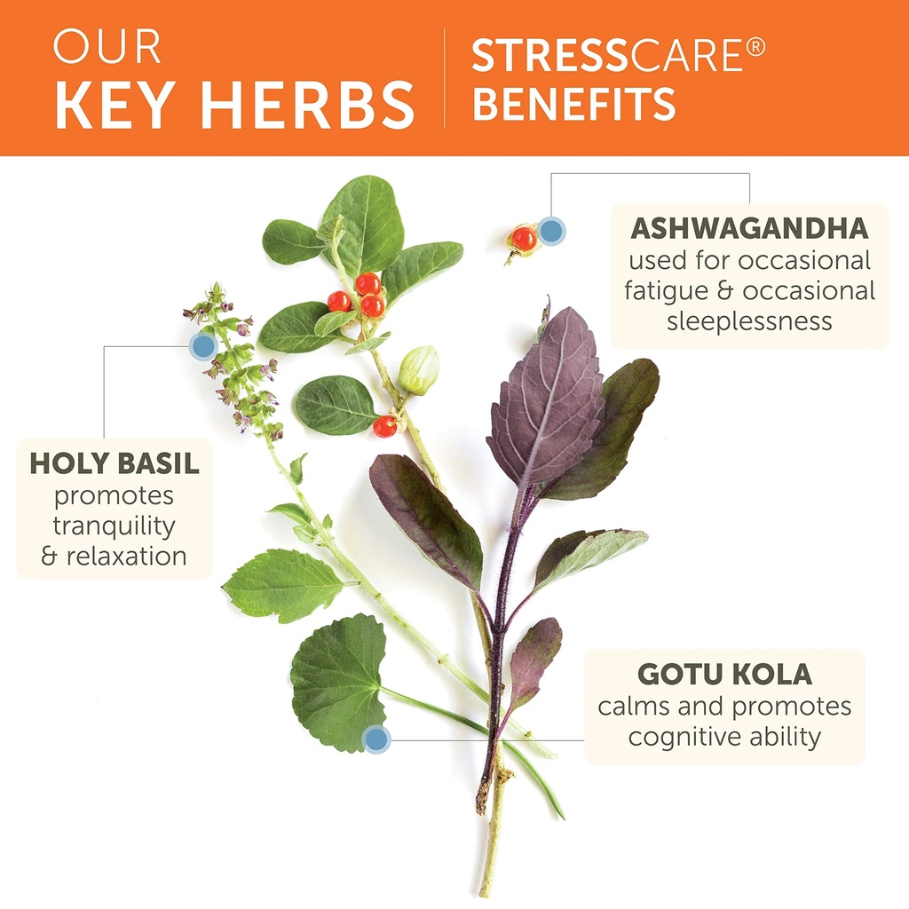 himalaya-stresscare-30-day-supply-herbal-4.jpg