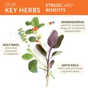 himalaya-stresscare-30-day-supply-herbal-4.jpg