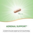 nature-s-way-adrenergize-adrenal-support-3.jpg