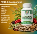 adrenal-wellness-ashwagandha-more-organi-3.jpg