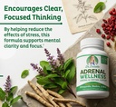 adrenal-wellness-ashwagandha-more-organi-4.jpg