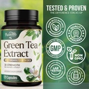 green-tea-extract-1000mg-per-serving-98--4.jpg