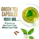 green-tea-extract-1000mg-per-serving-98--6.jpg