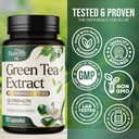 green-tea-extract-1000mg-per-serving-98--4.jpg