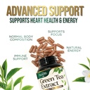 green-tea-extract-1000mg-per-serving-98--5.jpg