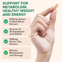 zenwise-health-egcg-green-tea-extract-ca-4.jpg