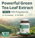 egcg-green-tea-extract-capsules-super-hi-2.jpg