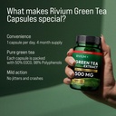 green-tea-extract-egcg-500-mg-decaffeina-6.jpg