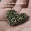 green-tea-extract-egcg-500-mg-decaffeina-5.jpg