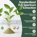 green-tea-extract-450mg-high-potency-50--3.jpg