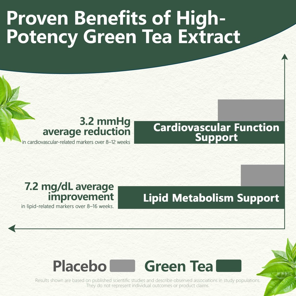green-tea-extract-450mg-high-potency-50--4.jpg