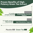 green-tea-extract-450mg-high-potency-50--4.jpg