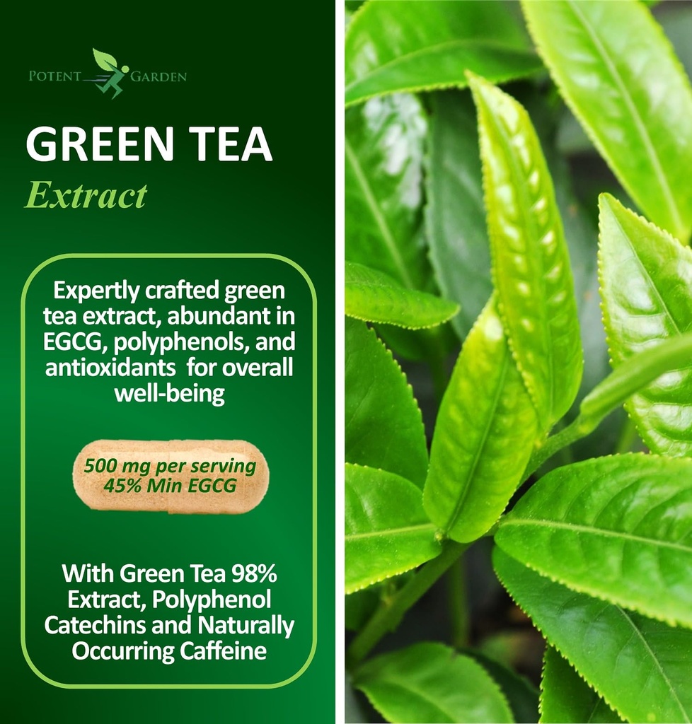 potent-garden-green-tea-extract-with-egc-2.jpg