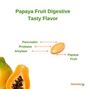 papaya-fruit-digestive-improve-digestion-3.jpg