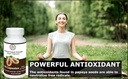 papaya-seed-powder-capsules-high-papaya--4.jpg