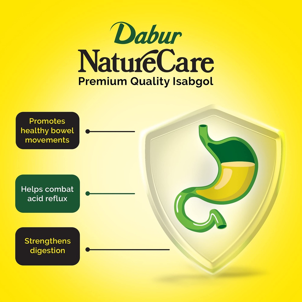 dabur-nature-care-isabgol-375-g-3.jpg