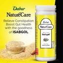 dabur-nature-care-isabgol-375-g-2.jpg