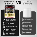 shilajit-gummies-for-men-3000mg-120-gold-6.jpg