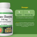 natural-factors-lactase-enzyme-digestive-3.jpg