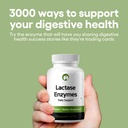 lactase-supplement-240-tablets-natural-e-2.jpg