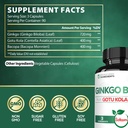1520mg-ginkgo-biloba-supplements-with-go-2.jpg