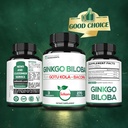 1520mg-ginkgo-biloba-supplements-with-go-6.jpg