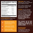 neuroignite-brain-supplements-for-memory-2.jpg
