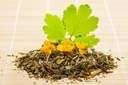 health-embassy-greater-celandine-herb-ch-6.jpg