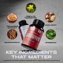 iron-brothers-men-s-testosterone-support-4.jpg
