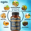 240-capsules-8-month-supply-7in1-with-fe-3.jpg