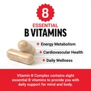 force-factor-vitamin-b-complex-to-suppor-2.jpg